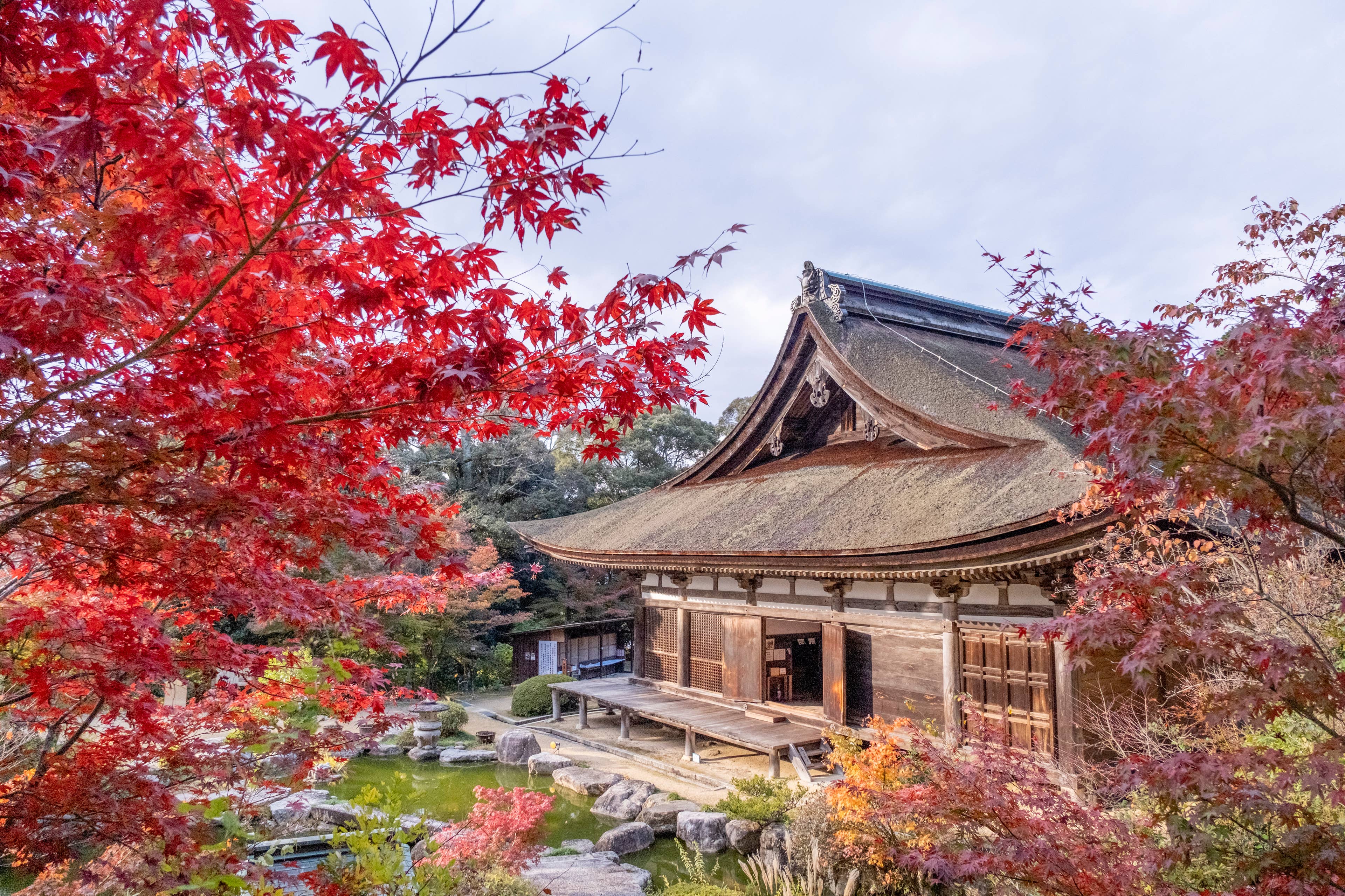 国宝善水寺