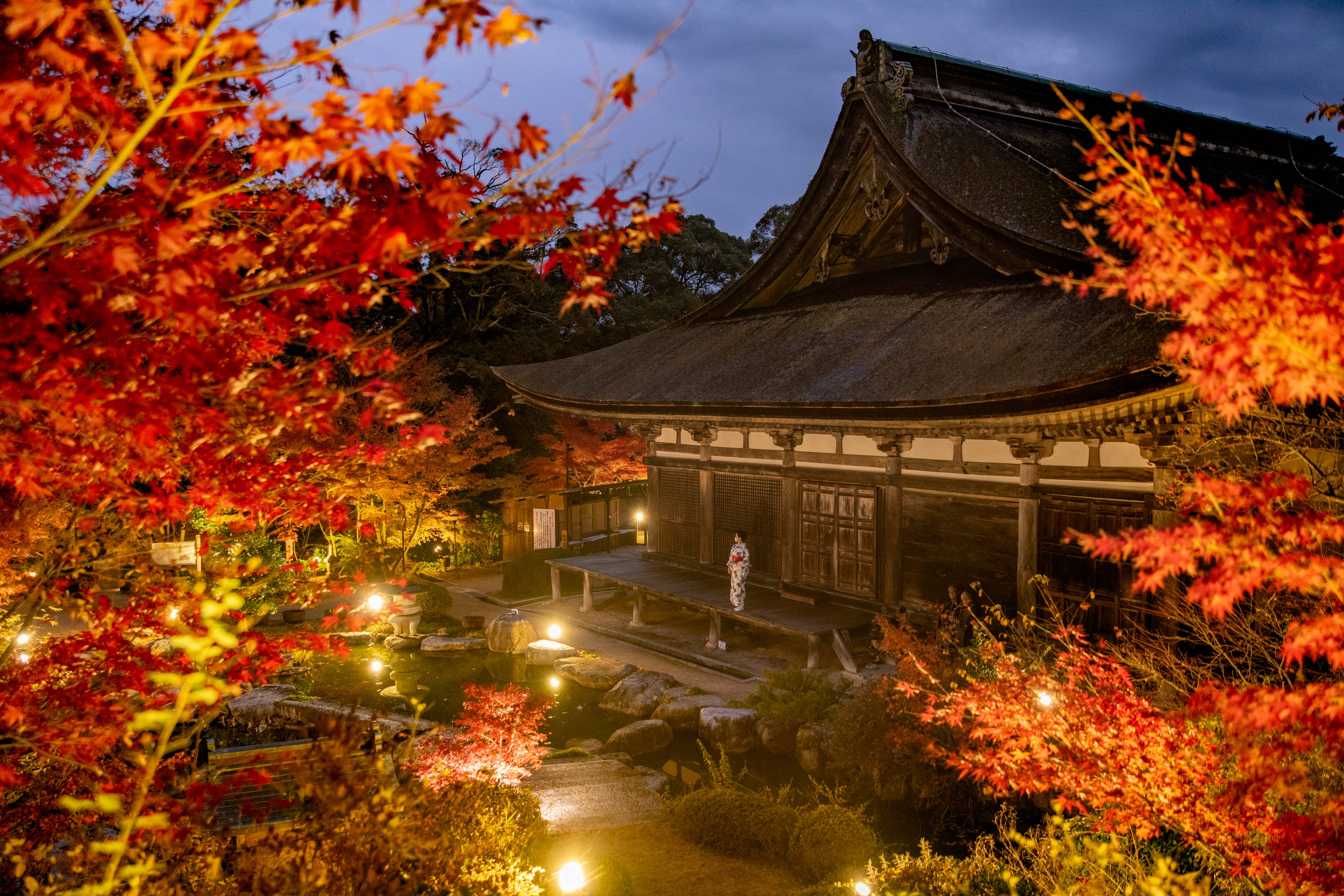 国宝善水寺　紅葉ライトアップ