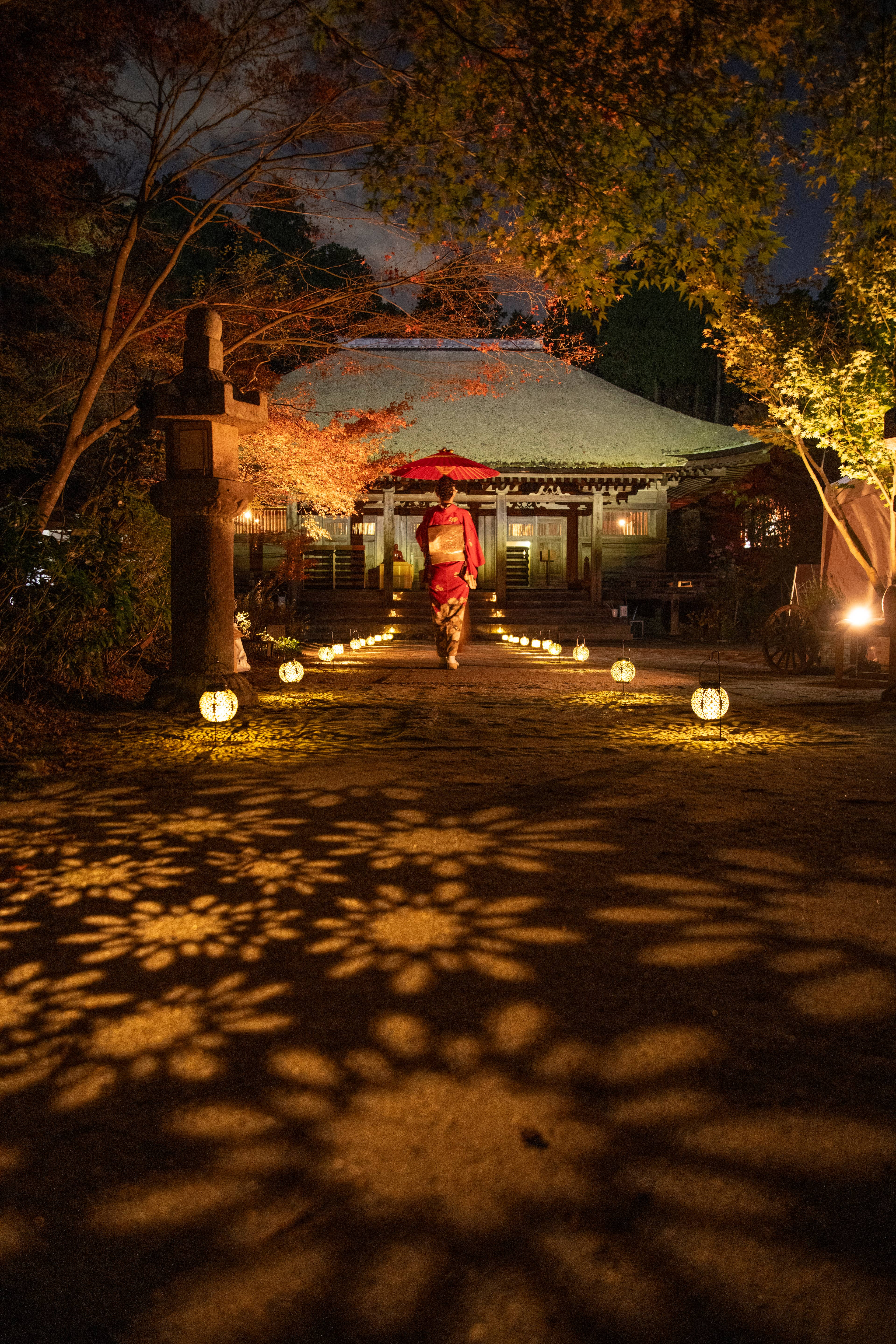 国宝長壽寺　紅葉ライトアップ