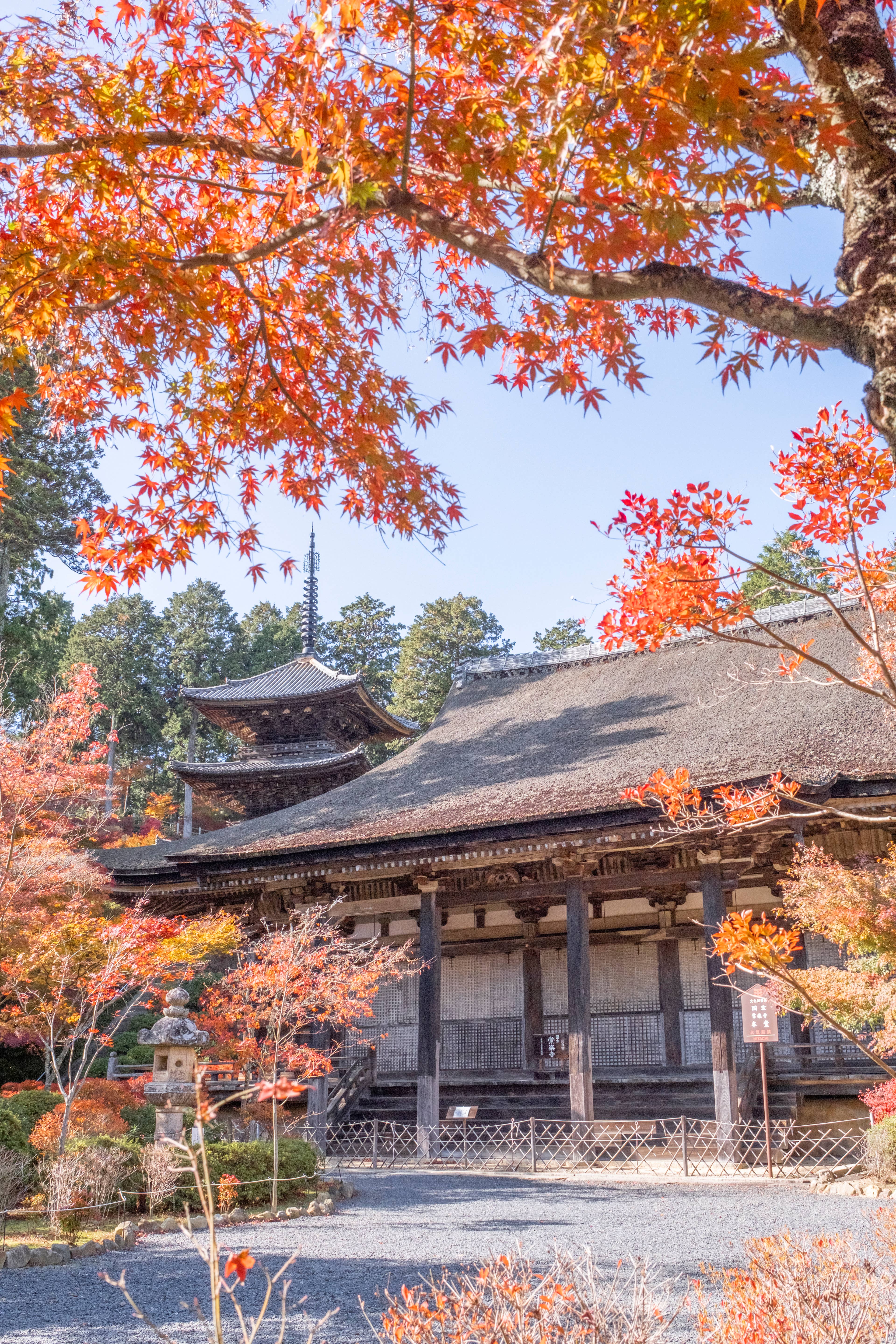 国宝常楽寺