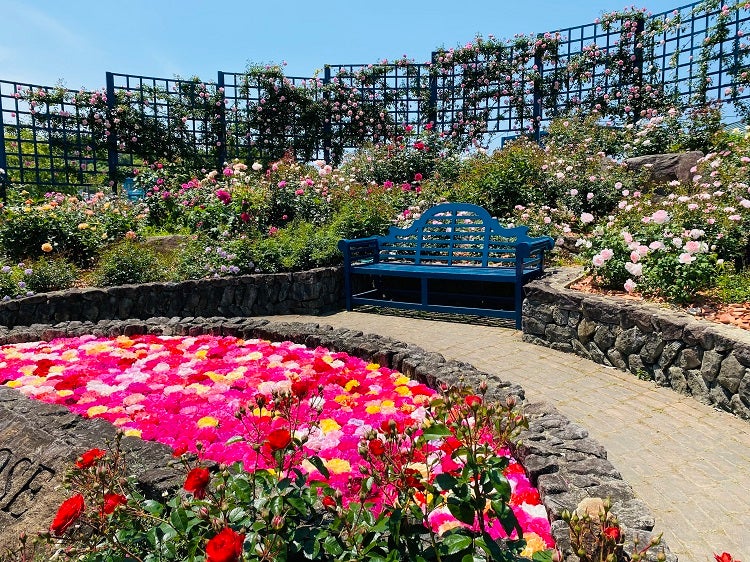 エコパーク水俣バラ園 / 熊本県 -【JAPAN 47 GO】