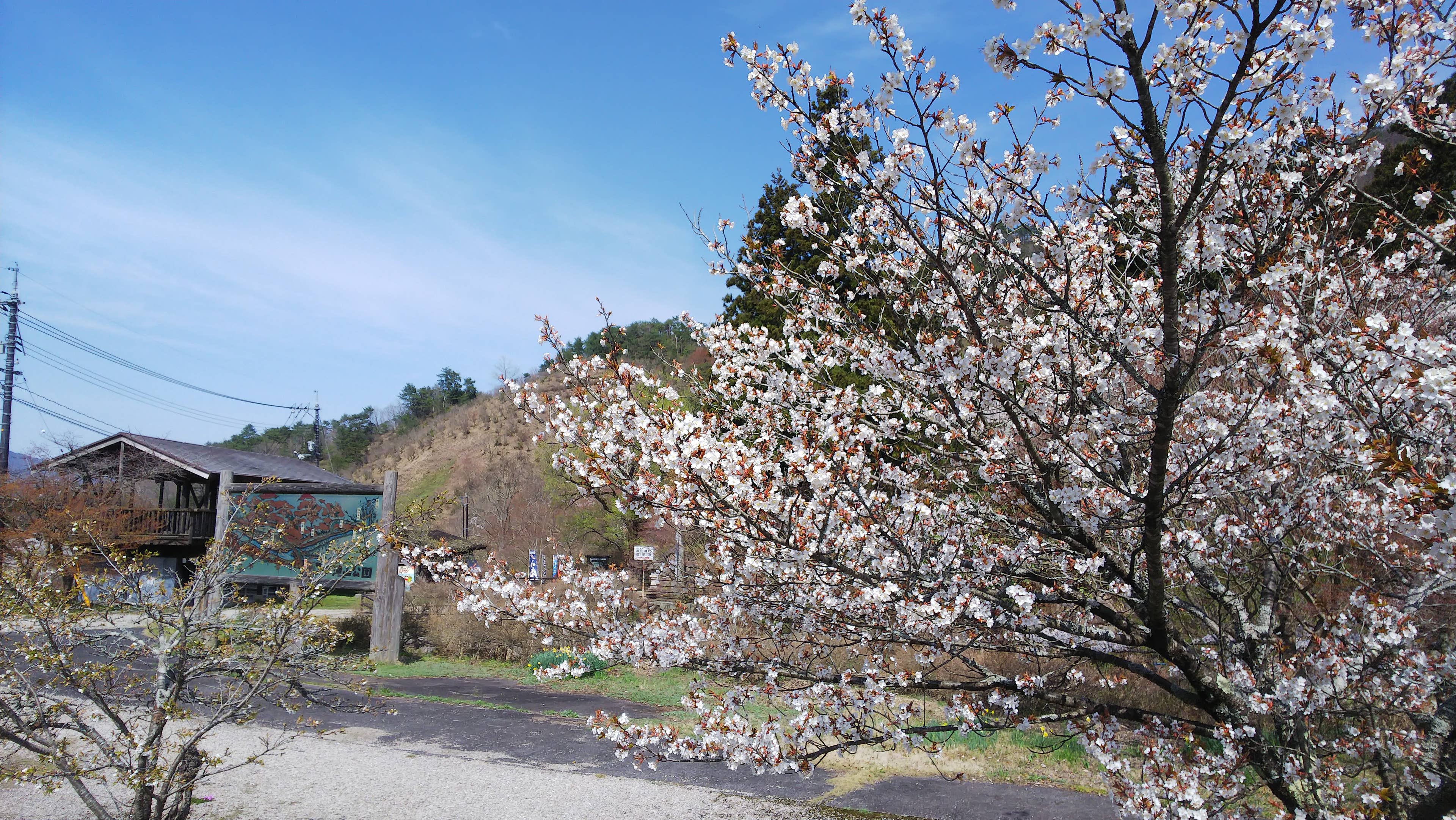 滝山公園