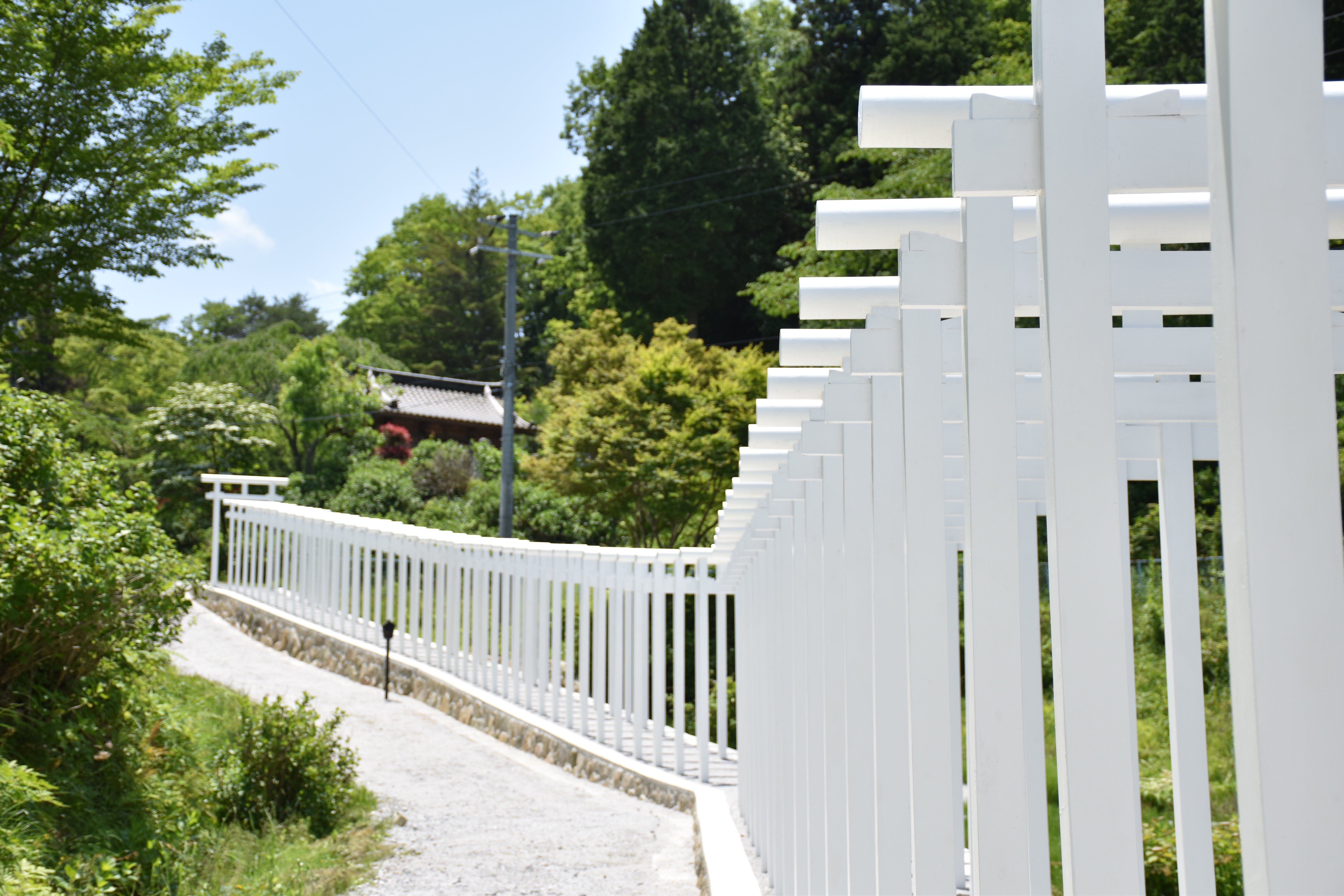 羅生門 / 岡山県 -【JAPAN 47 GO】