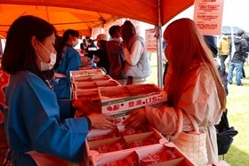 礼文華海岸 / 北海道 -【JAPAN 47 GO】