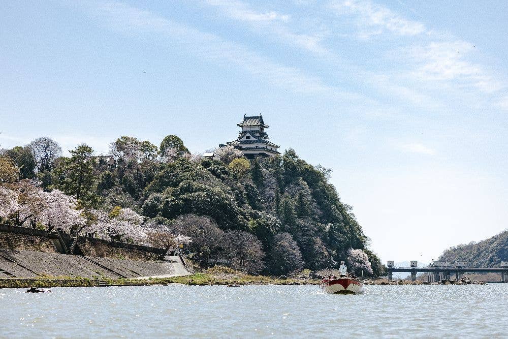 木曽川河畔～郷瀬川河畔（城見歩道）の桜