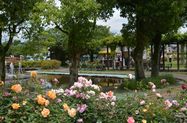 ばら公園いこいの広場