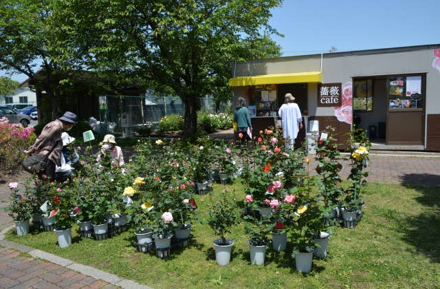 薔薇カフェ