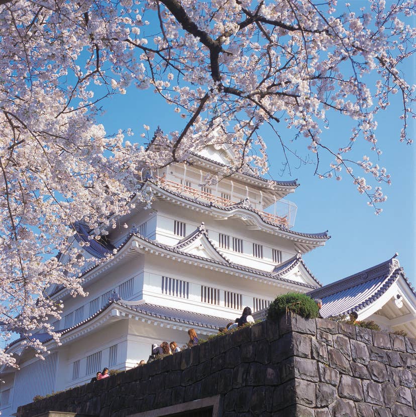 千葉城（郷土博物館）と桜