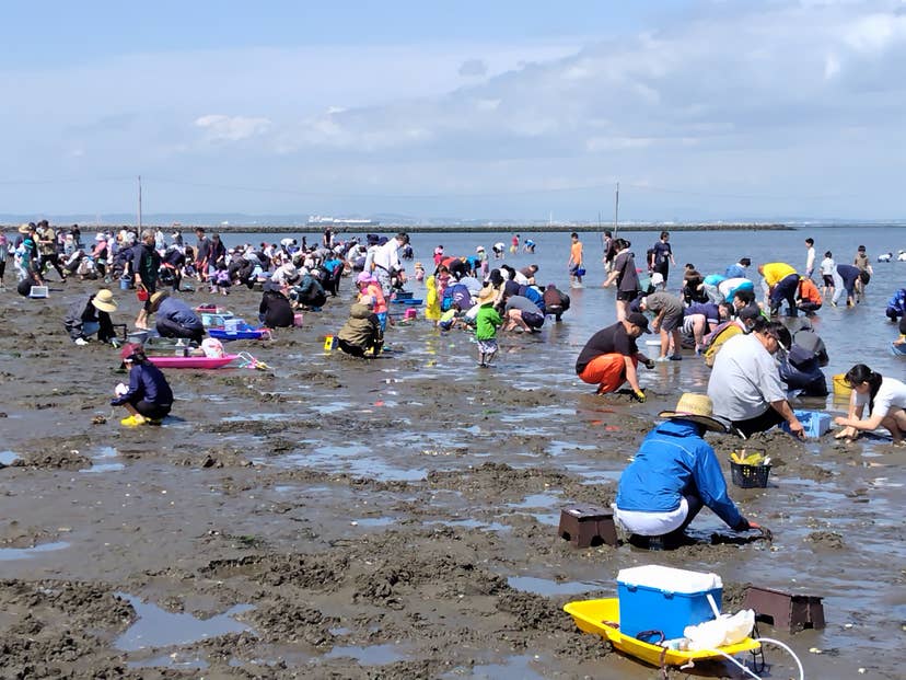 富津海岸潮干狩り