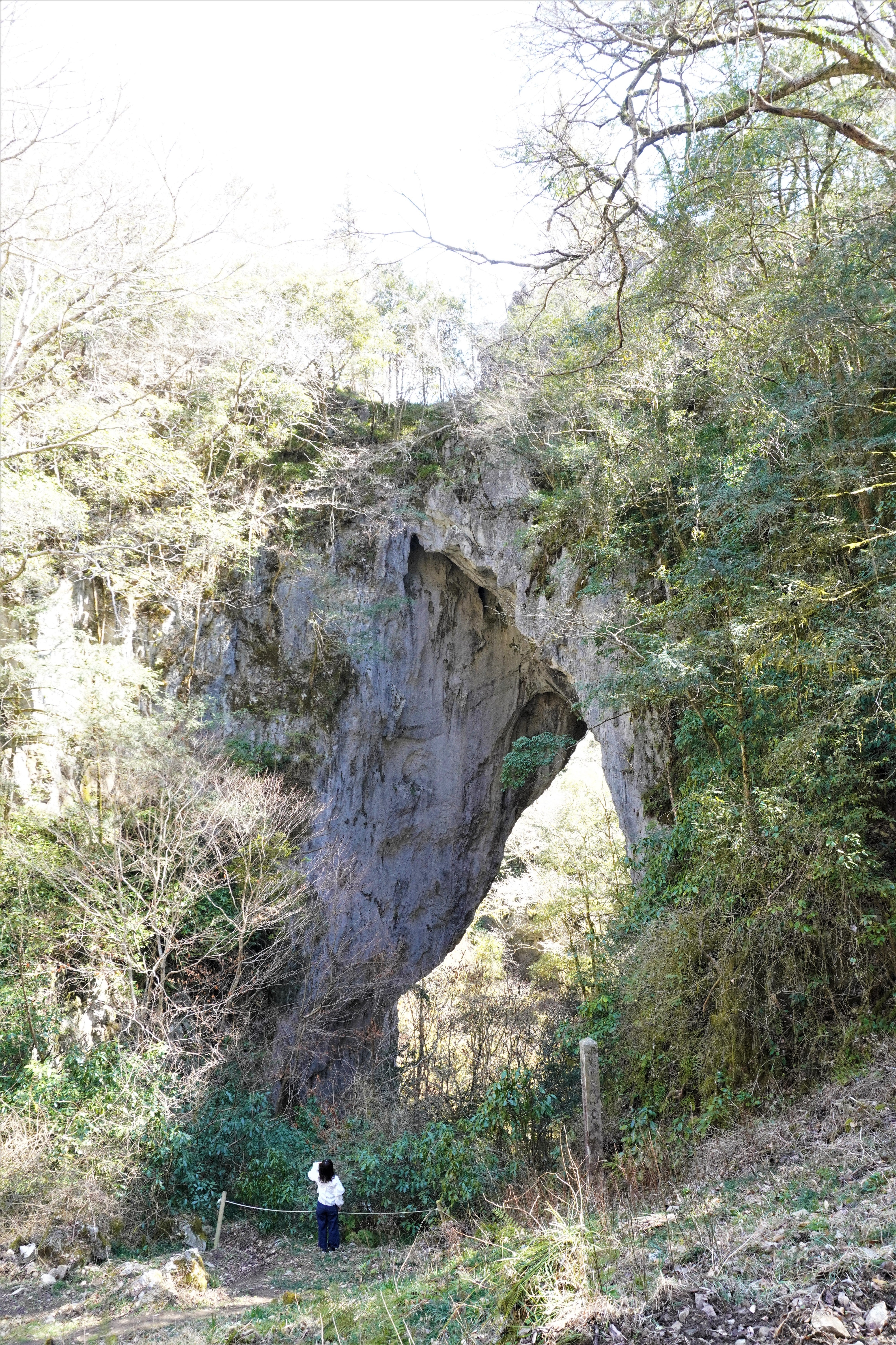 29497_ext_6_1.jpg?width=828&