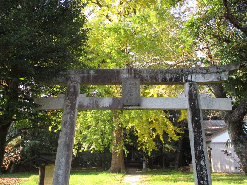 和多理神社社叢