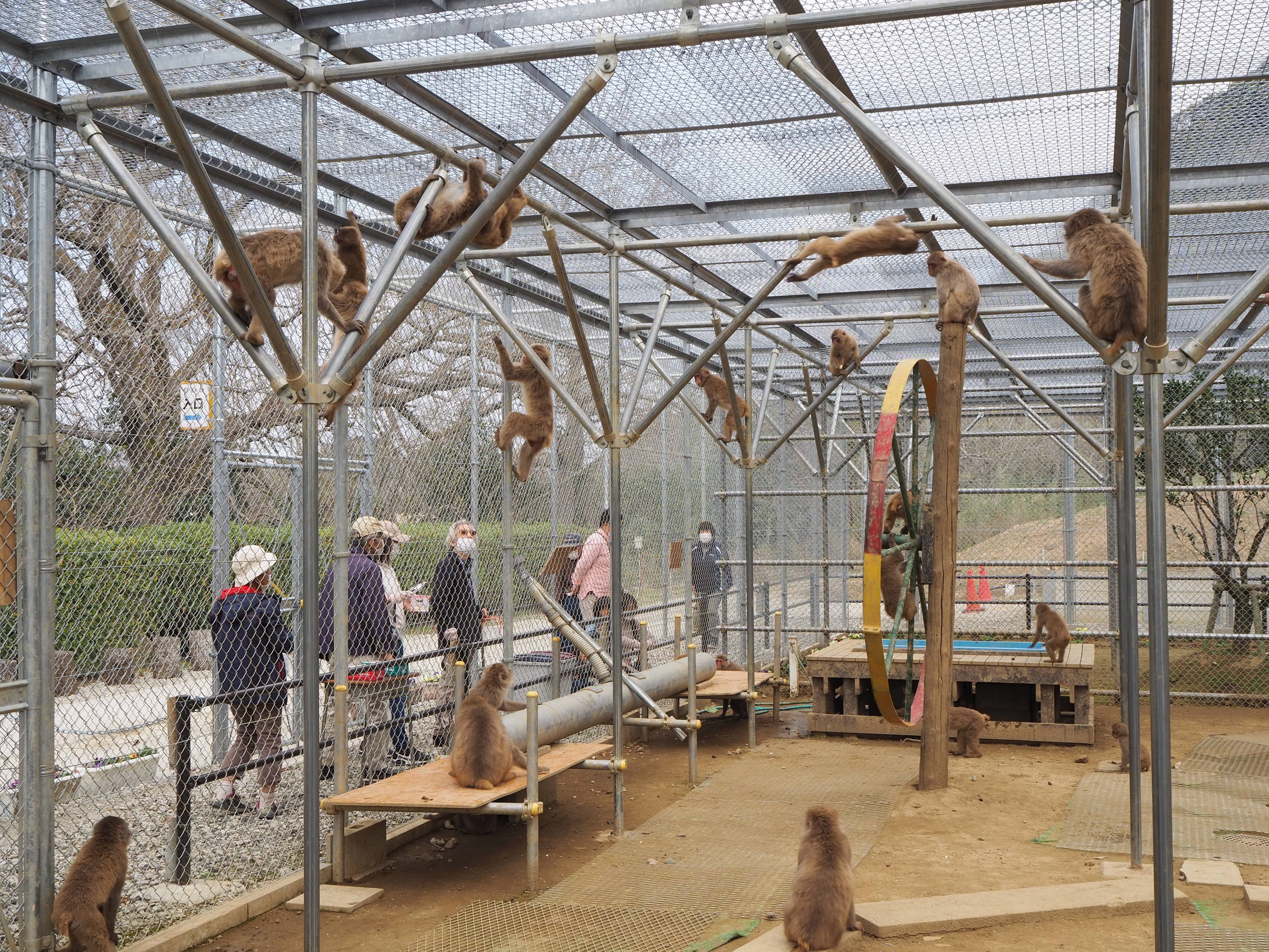 動物園の様子