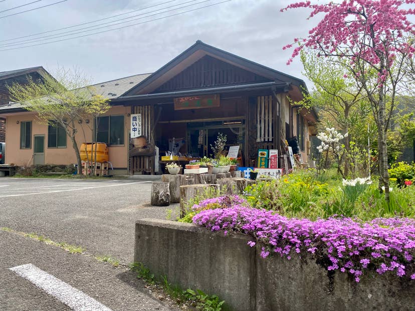 あがらいん伊達屋