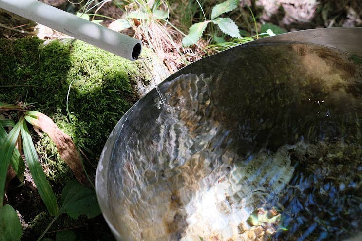 金明水の湧き水