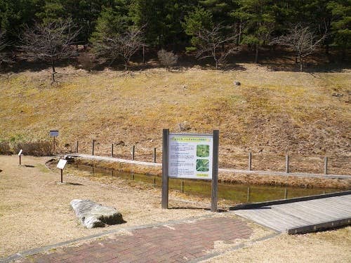 ハッチョウトンボ観察園