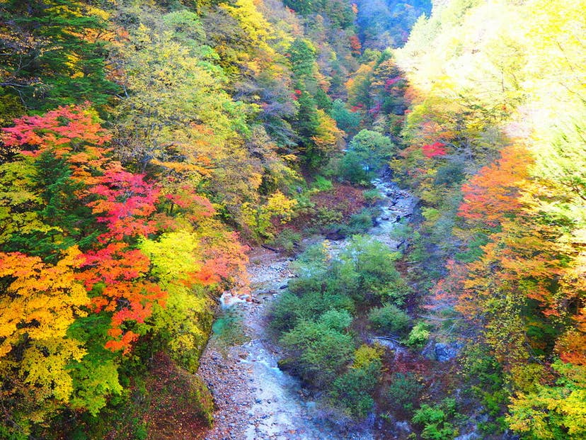 北葛沢の紅葉