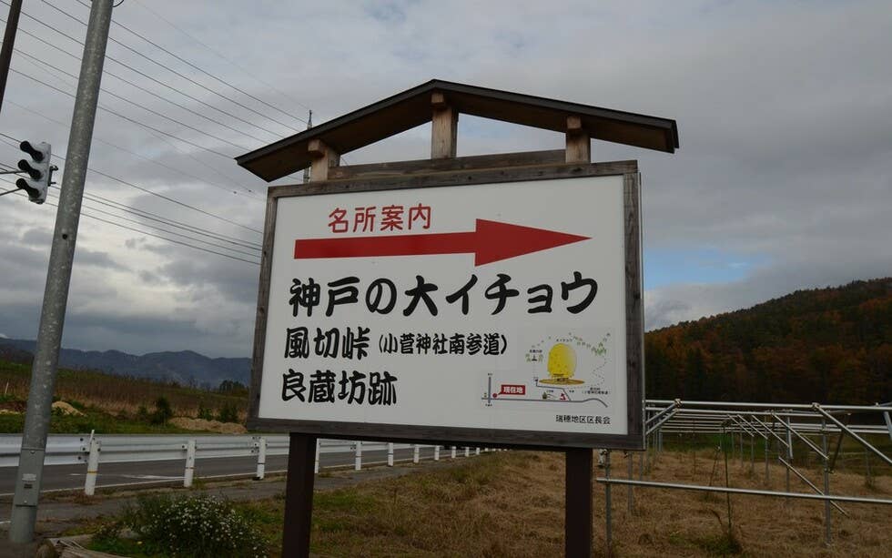 この看板が目印