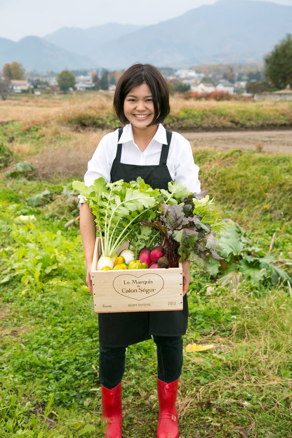 採れたて野菜