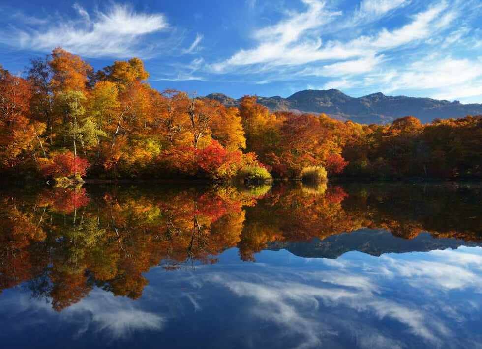 10月中旬に見頃を迎える鎌池の紅葉。