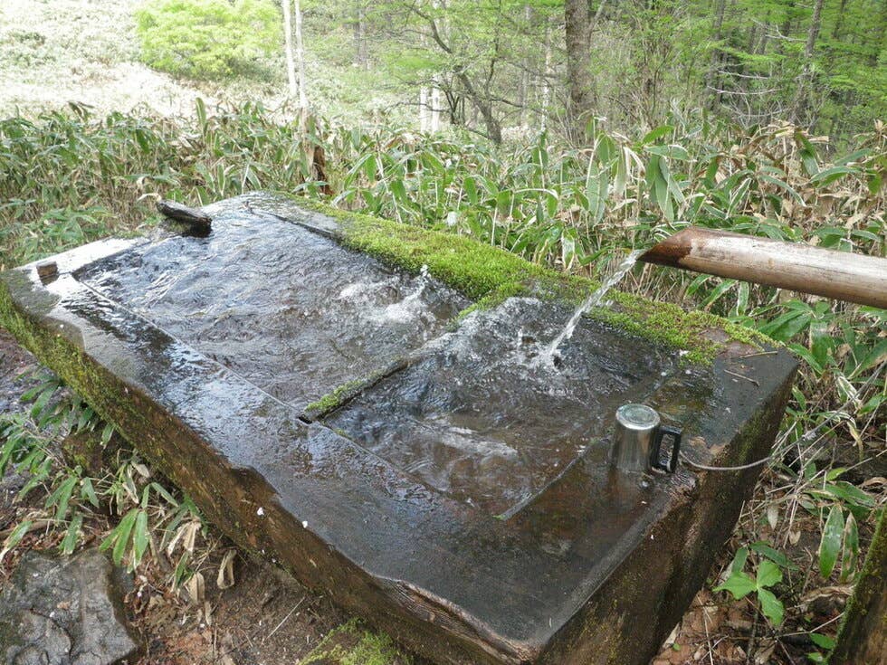 池山　水場
秋以降は枯れることもあります。