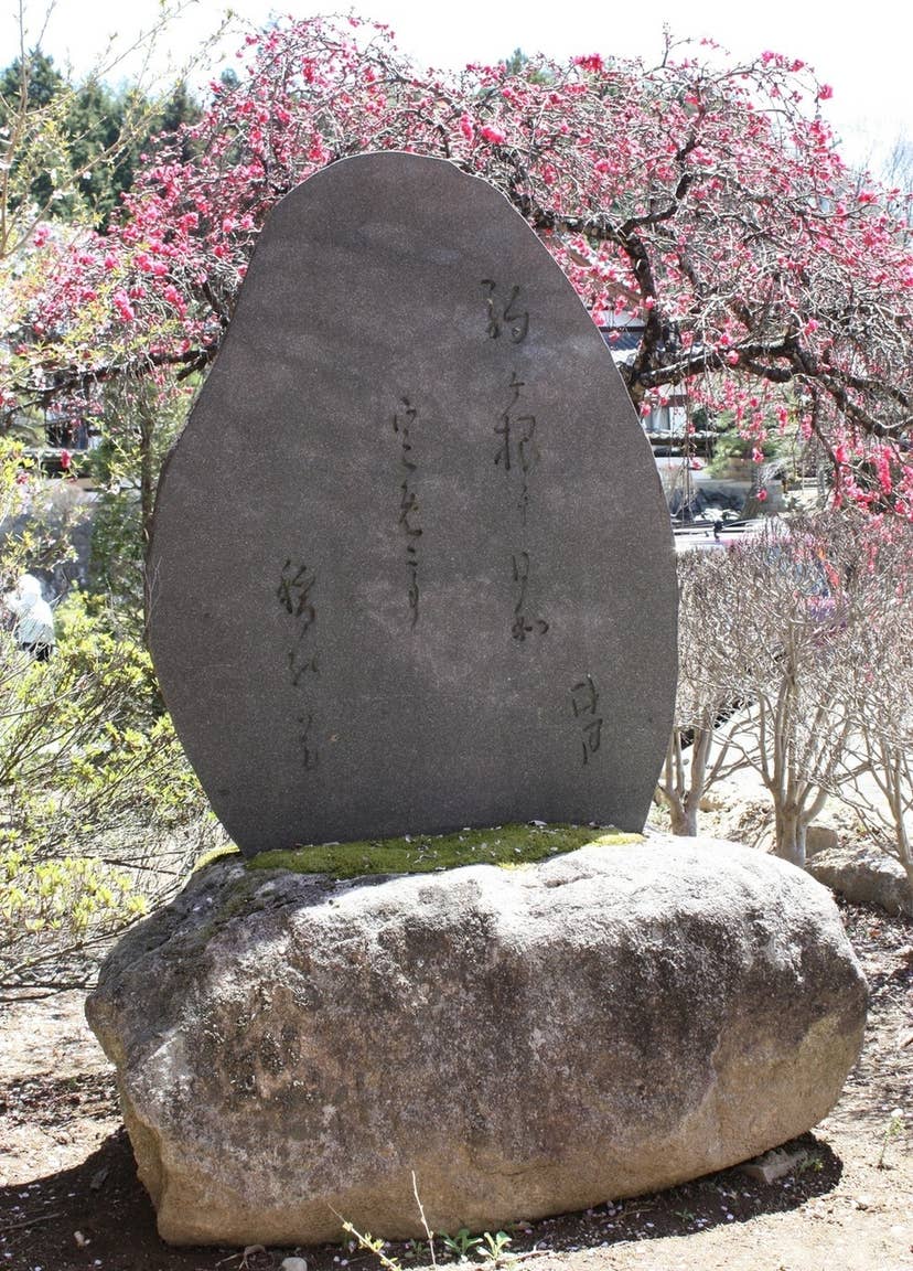 駒ヶ根に日和定めて稲の花