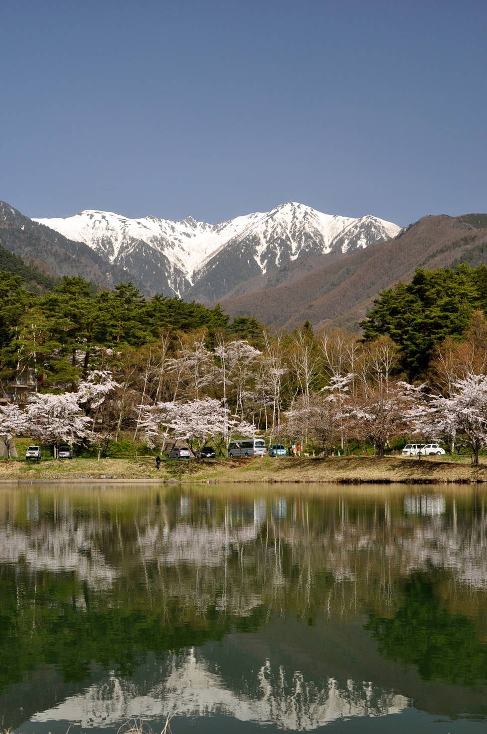 湖畔から中央アルプスを望む