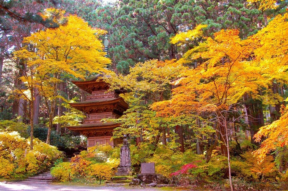 三重塔と紅葉