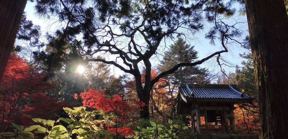 光前寺鐘堂と紅葉