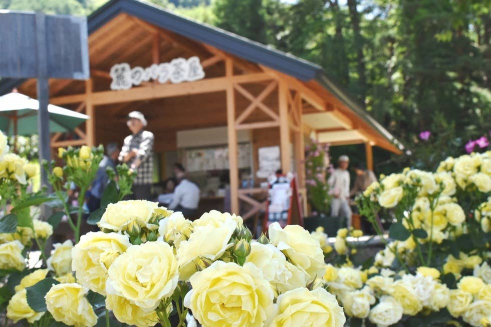 園内にはバラ茶屋もあり、ゆっくりお茶を楽しめます。