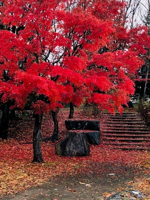 秋には紅葉も見事です！！