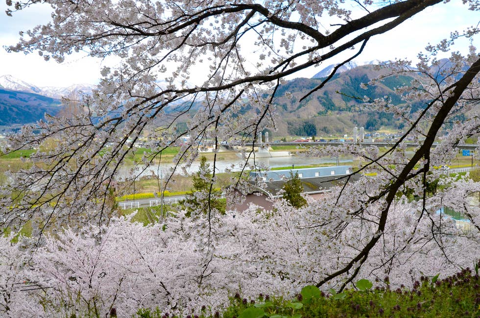 千曲川と中央橋を望む