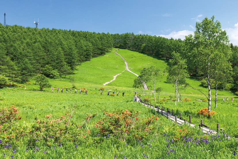 標高1730m、面積1.85ha
入笠湿原から入笠山へのトレッキングは1年を通して楽しめる。