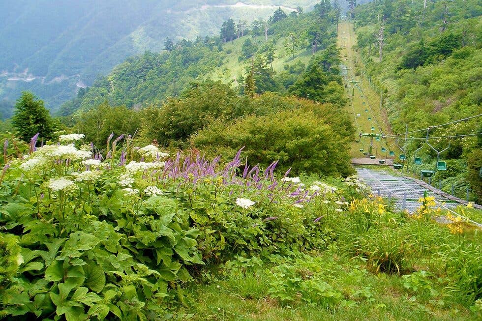剣山観光登山リフト / 徳島県 -【JAPAN 47 GO】 剣山観光登山リフト / 徳島県 -【JAPAN 47 GO】