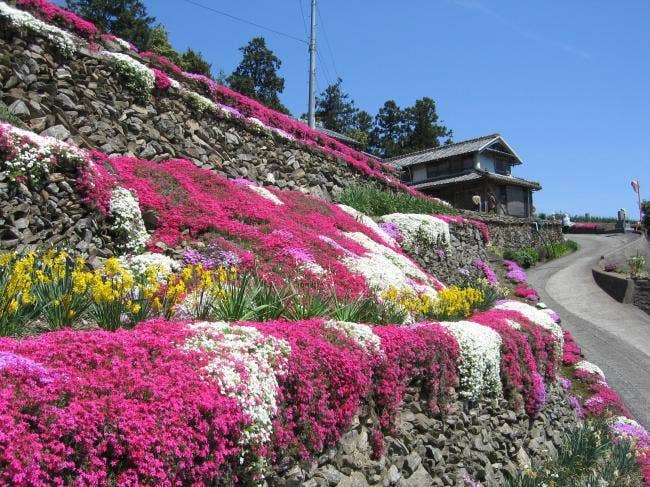 美郷物産館の画像5