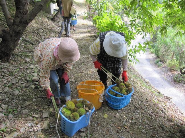 美郷物産館の画像8