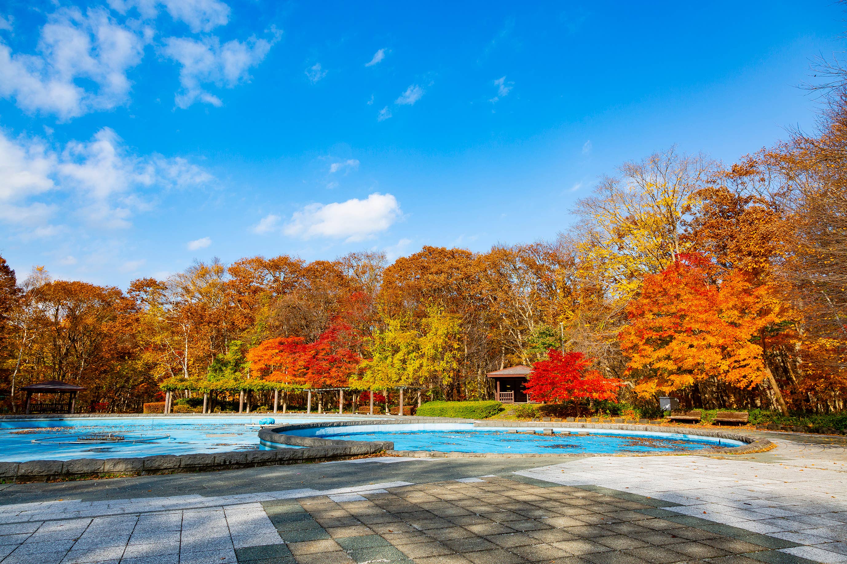 千歳（青葉公園）の紅葉