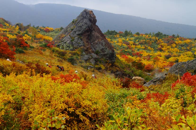 栗駒山の紅葉