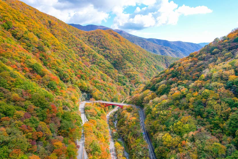 仙人峠の紅葉