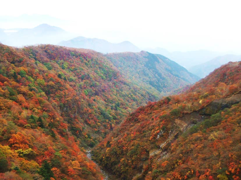 霧降高原の六方沢の紅葉