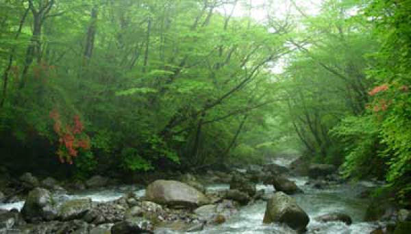 那須高原（那須平成の森・駒止の滝）の紅葉