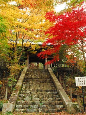 鳥居観音の紅葉