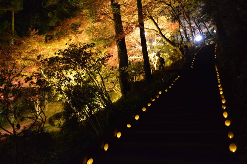 東郷公園の紅葉