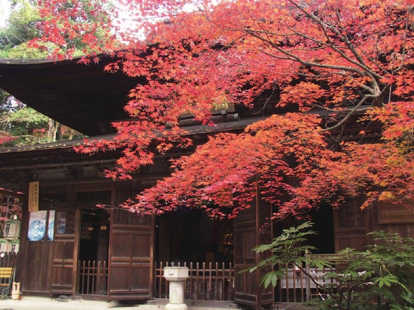 定光寺・定光寺公園の紅葉