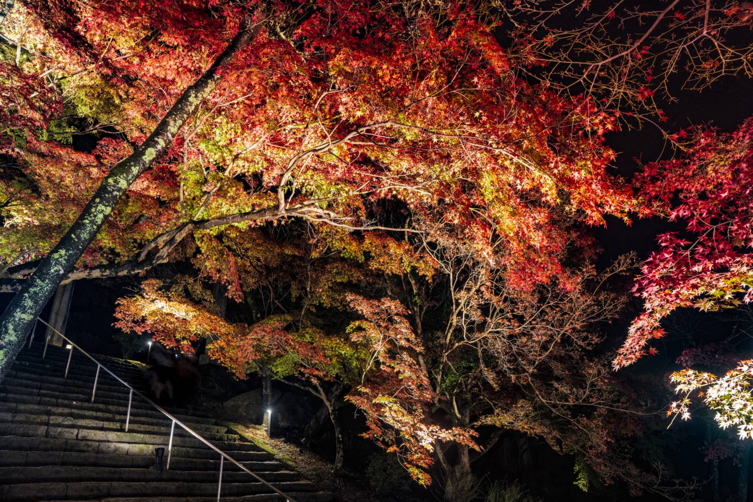 宝満宮竈門神社の紅葉