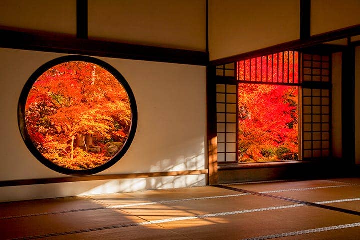 源光庵の紅葉