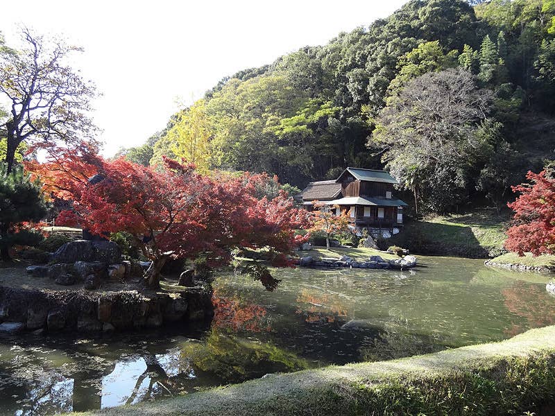 近水園の紅葉