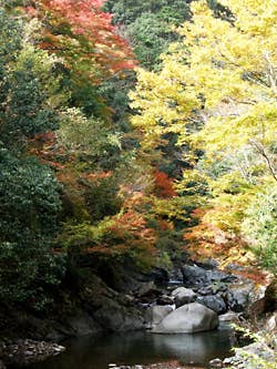 木谷峡の紅葉