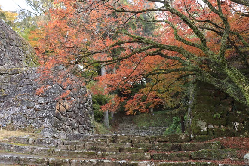 人吉城跡周辺（球磨川沿岸）の紅葉