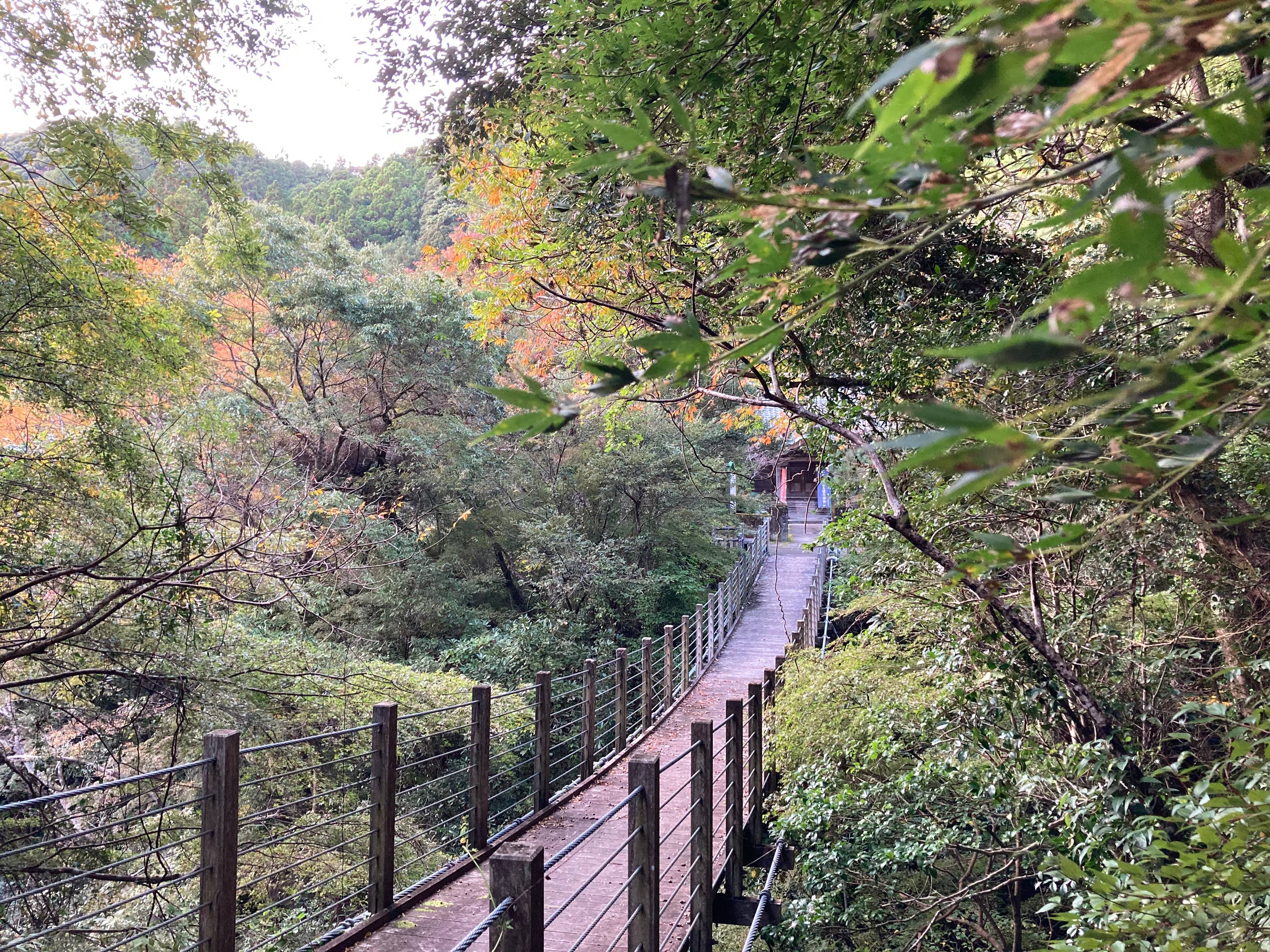 かじか橋の紅葉