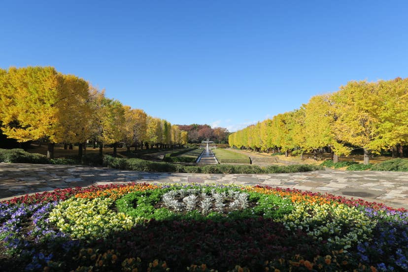 国営昭和記念公園の紅葉